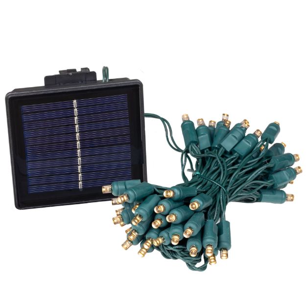 Solar charging panel beside its warm white mini light string on green wire
