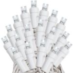 *NEW* True Twinkle® LED Christmas Lights 50 LED Pure White 25' Long White Wire