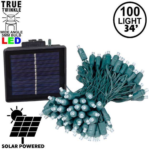 *NEW* True Twinkle Pure White LED Solar Mini Lights 100 Light String 4" Spacing Green Wire