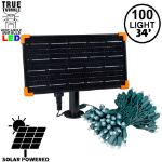 *NEW* True Twinkle® Pure White LED Solar Mini Lights 100 Light String 4" Spacing Green Wire