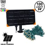 *NEW* True Twinkle® Warm White LED Solar Mini Lights 100 Light String 4" Spacing Green Wire