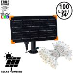 *NEW* True Twinkle® Warm White LED Solar Mini Lights 100 Light String 4" Spacing White Wire