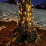Warm White LED Solar Powered Lights 100 Light String 6" Green Wire