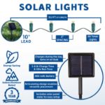 Red LED Solar Powered Lights 50 Light String 3" Spacing  Green Wire