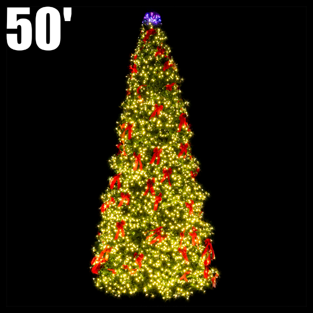 50' Classic Sequoia Lit Tree with Metal Frame