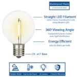 67 LED Filament G50 Globe String Light Set with Warm White Bulbs on White Wire