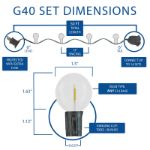 50 LED Filament G40 Globe String Light Set with Warm White Bulbs on Brown Wire