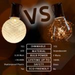 Multi Color Diamond Faceted LED G40 Globe Bulbs - 25pk