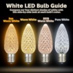 PeakPro Sun Warm White C9 LED Replacement Bulbs 25 Pack