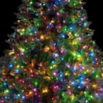 Multi 50 Light 11' Long Green Wire Christmas Mini Lights