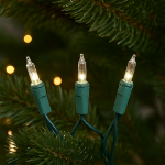 Clear 50 Light 11' Long Green Wire Christmas Mini Lights