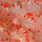 Red 50 Light 11' Long White Wire Christmas Mini Lights