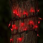 Red Christmas Mini Lights 50 Light on Brown Wire 11 Feet Long