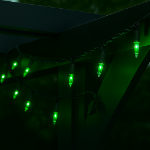 Green Christmas Mini Lights 50 Light on Black Wire 11 Feet Long