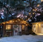50 LED S14 Warm White Commercial Grade Suspended Light String Set on 100' of White Wire 