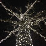 Commercial Grade Wide Angle 100 LED Pure White 34' Long Black Wire