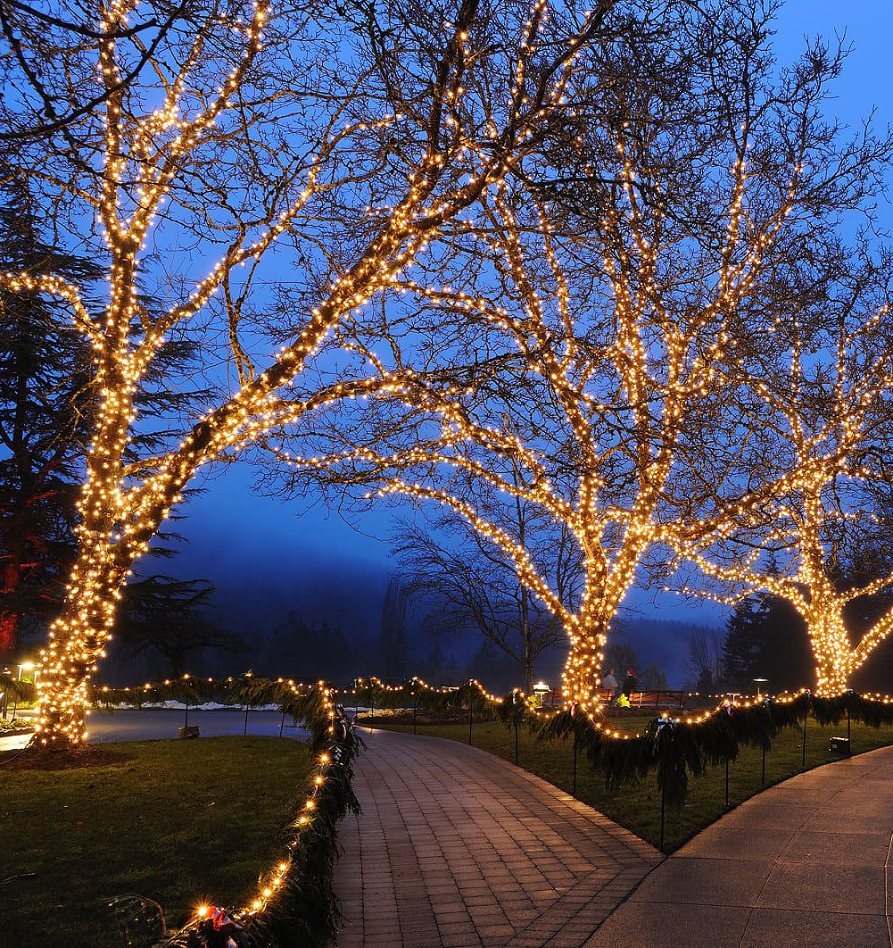 100 Light LED Christmas Mini Light Set, Patio Light, Warm White, Green Wire, 34’ - Bild 52 von 66