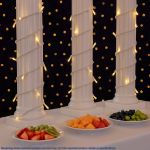 10 Light Non Connectable Warm White LED Mini Lights White Wire