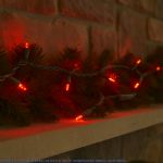 20 Light Non Connectable Red LED Mini Lights Green Wire