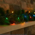 20 Light Non Connectable Multi LED Mini Lights Green Wire