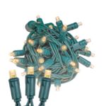 Coaxial 50 LED Sun Warm White 6" Spacing Green Wire