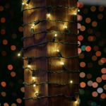 Coaxial 50 LED Sun Warm White 6" Spacing Green Wire