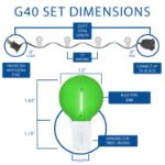 25 LED Filament G40 Globe String Light Set with Transparent Yellow, Purple & Green Bulbs on White Wire