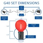 25 LED Filament G40 Globe String Light Set with Transparent Red, White & Blue Bulbs on Black Wire
