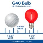 25 LED Filament G40 Globe String Light Set with Transparent Red, White & Blue Bulbs on Black Wire