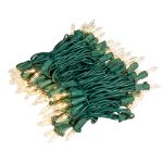 RetroGlo Clear Mini Lights 100 Light on Green Wire 22 Feet Long