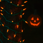RetroGlo Orange Ceramic Mini Lights 50 Light on Green Wire 11 Feet Long