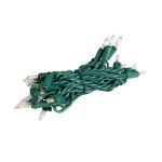 RetroGlo Clear Mini Lights 20 Light on Green Wire 8.5 Feet Long