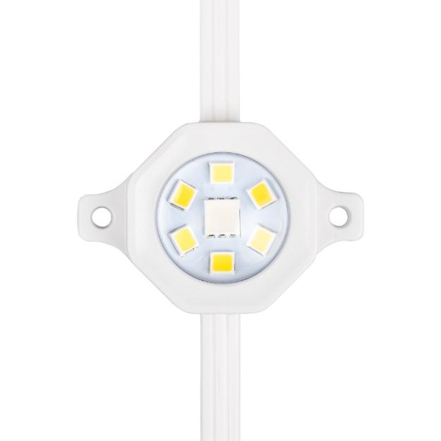 50-ft App-Controlled RGBTW Permanent Outdoor Eve Lights | Novelty ...