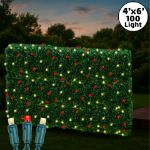 Red & Warm White LED Net Lights 4x6 Green Wire