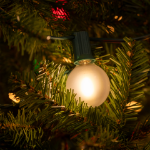 RetroGlo Warm White Satin G40 Globe Bulbs 25 Pack