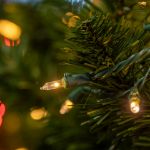 RetroGlo Clear Mini Lights 100 Light on Green Wire 34 Feet Long