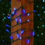 Coaxial Blue 100 LED C6 Strawberry Mini Lights Commercial Grade on Green Wire