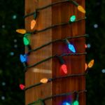 Coaxial Multi Color 100 LED C6 Strawberry Mini Lights Commercial Grade on Green Wire