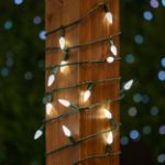 Coaxial Pure White 70 LED C6 Strawberry Mini Lights Commercial Grade on Green Wire