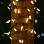 Coaxial *NEW* True Twinkle® Warm White 70 LED C6 Strawberry Mini Lights Commercial Grade on Green Wire