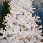Coaxial *NEW* True Twinkle® Warm White 70 LED C6 Strawberry Mini Lights Commercial Grade on White Wire