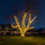 Commercial Grade Wide Angle 100 LED Warm White 50' Long on Brown Wire