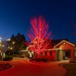 Commercial Grade Wide Angle 100 LED Red 34' Long Black Wire