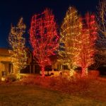 Commercial Grade Wide Angle 50 LED Red 17' Long on Green Wire