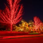 50 LED Red LED Christmas Lights 11' Long on Brown Wire