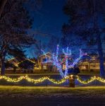 Commercial Grade Wide Angle 100 LED Multi 50' Long on Green Wire