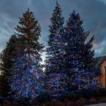 Commercial Grade Wide Angle 50 LED Multi Color 17' Long on Green Wire