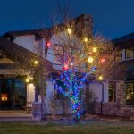 50 LED Multi LED Christmas Lights 11' Long on Brown Wire
