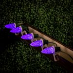 PeakPro Purple C7 LED Replacement Bulbs 25 Pack