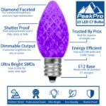 PeakPro Lime/Purple/Orange C7 LED Replacement Bulbs 25 Pack